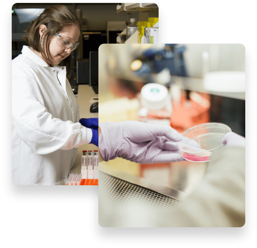 Lab training – PGDMLT Course Gujarat