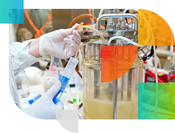 Bioprocessing lab training visual – Indian Institute